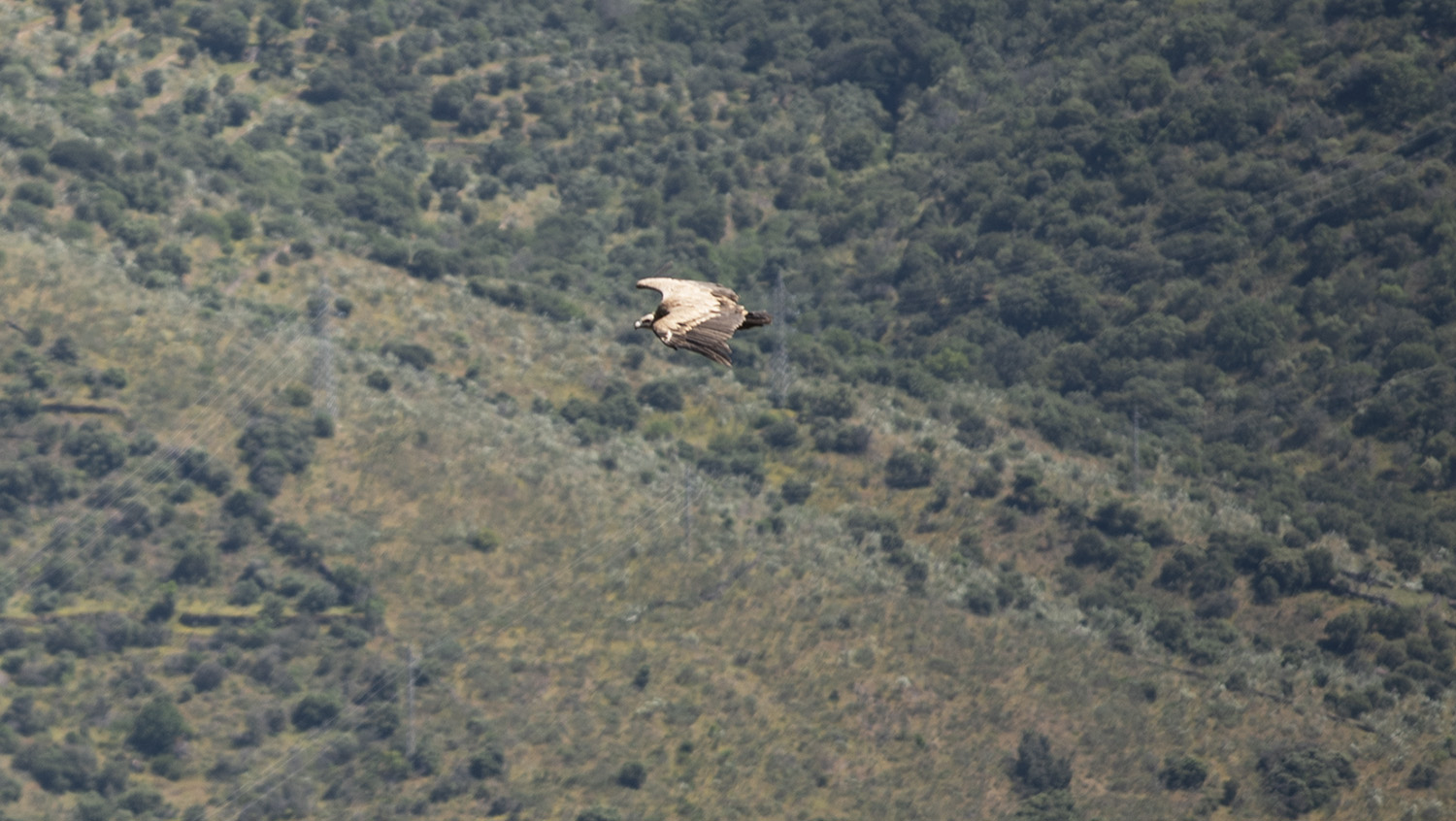 site_penedo_durao_0299