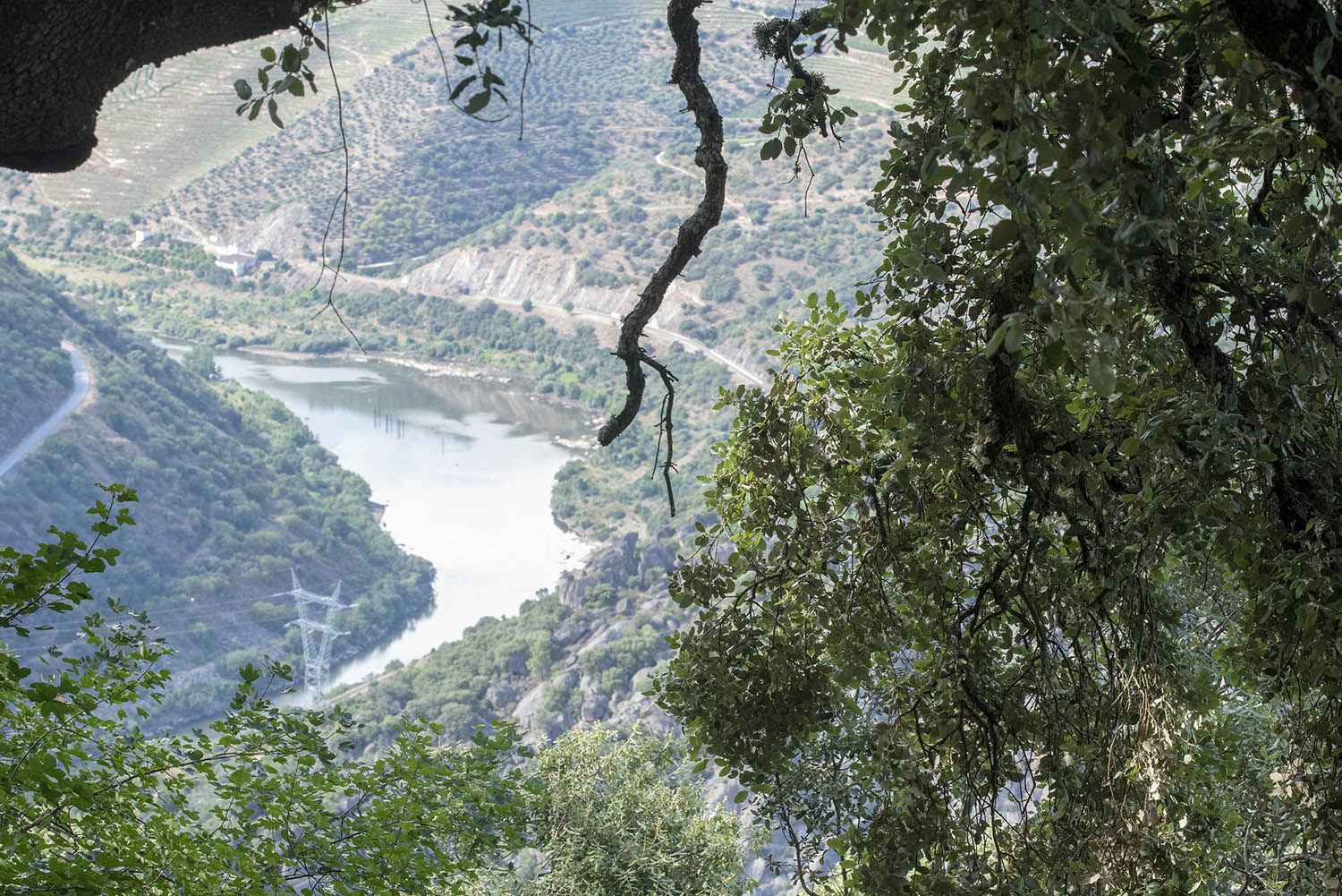 site_salvador_mundo_0847