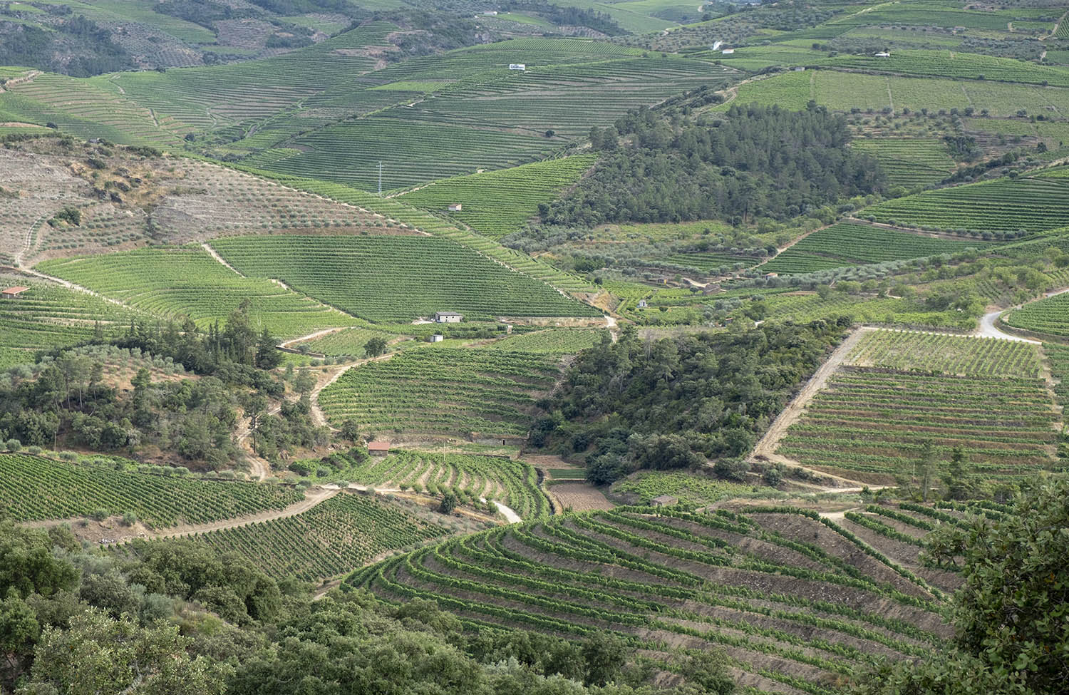 site_salvador_mundo_DSCF5537
