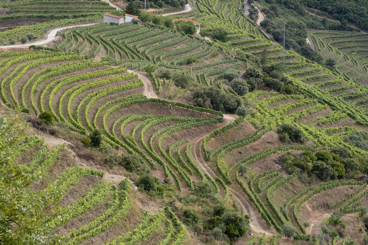 site_senhora_lurdes_0871