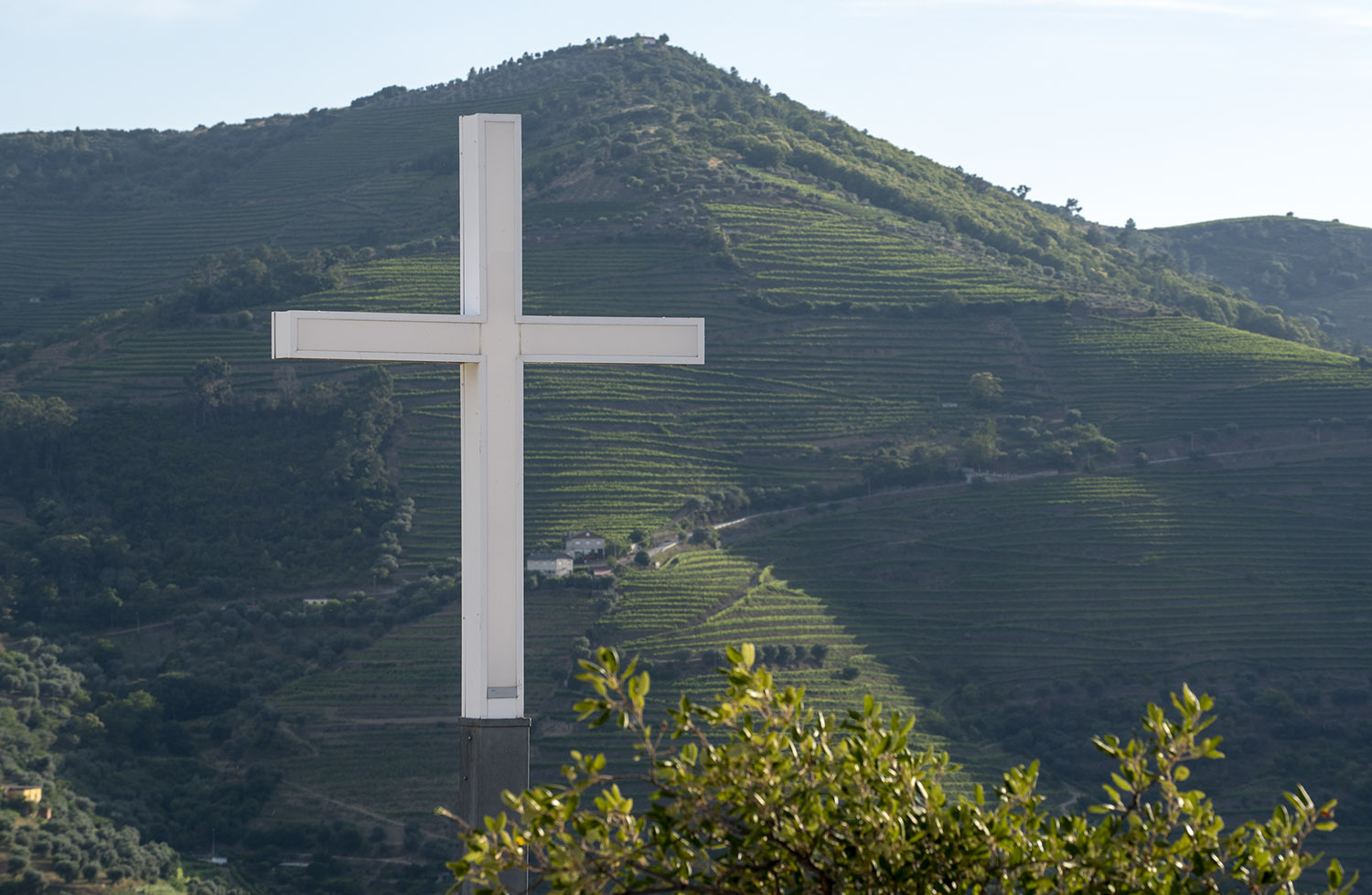 site_senhora_lurdes_0881