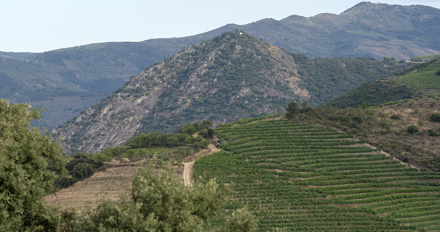 São Salvador do Mundo visto do miradouro de Senhora das Lurdes