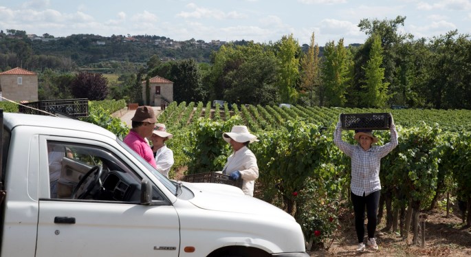 site_silgueiros_quinta_lemos_2036