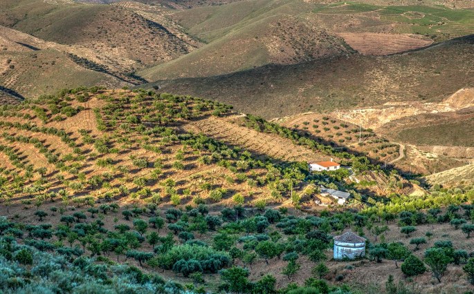 site_almendra_pombal_hdr