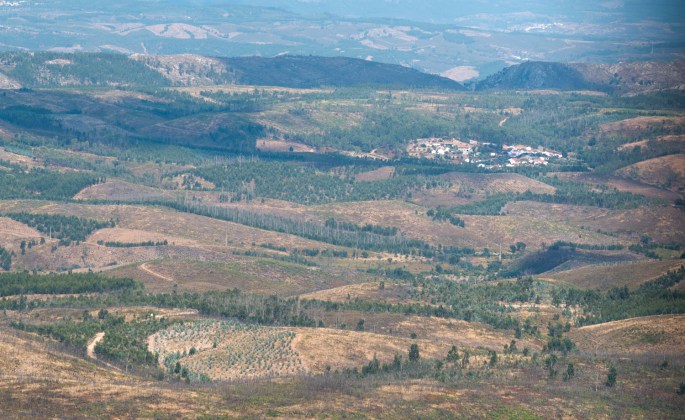 site_bando_santos_1881