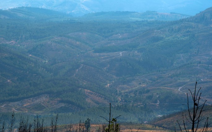 site_bando_santos_1899