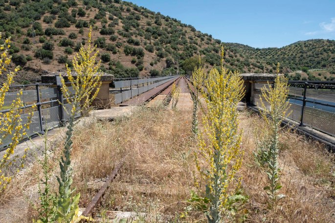 site_barca_dalva_comboio_DSCF5186