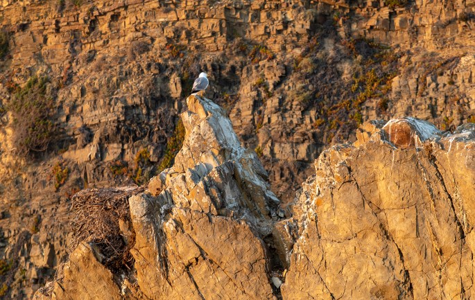 site_cabo_sardao_2609