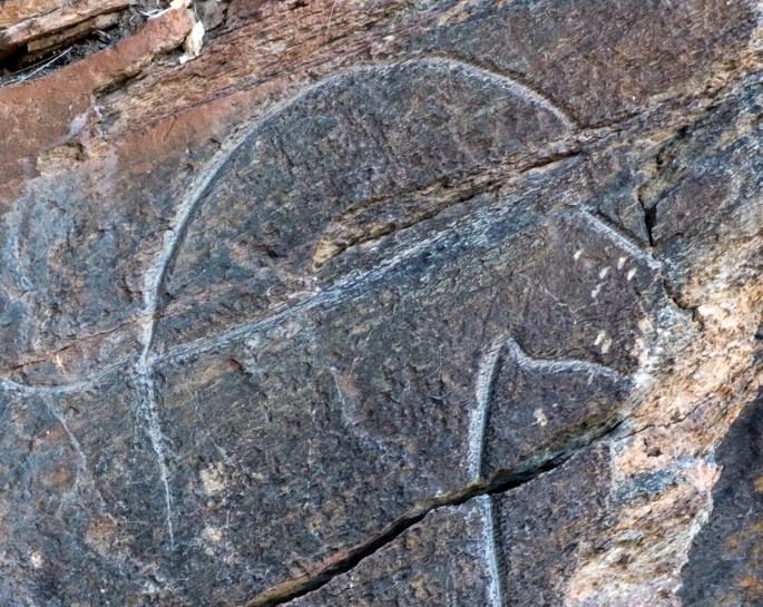 site_cavalo_gplano_DSCF5253