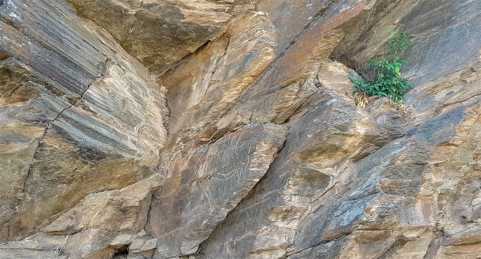 site_mazouco_video_cavalo