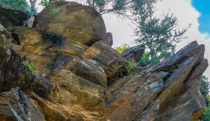 site_mazouco_video_cobertura