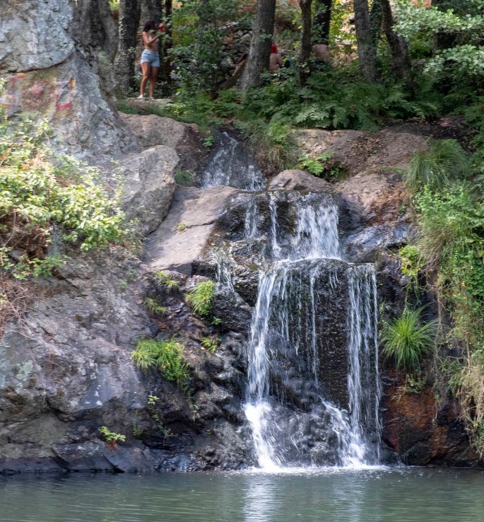 site_pego_rainha_DSCF6748