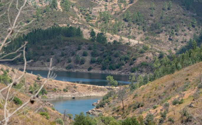 site_pego_rainha_ocreza_1838