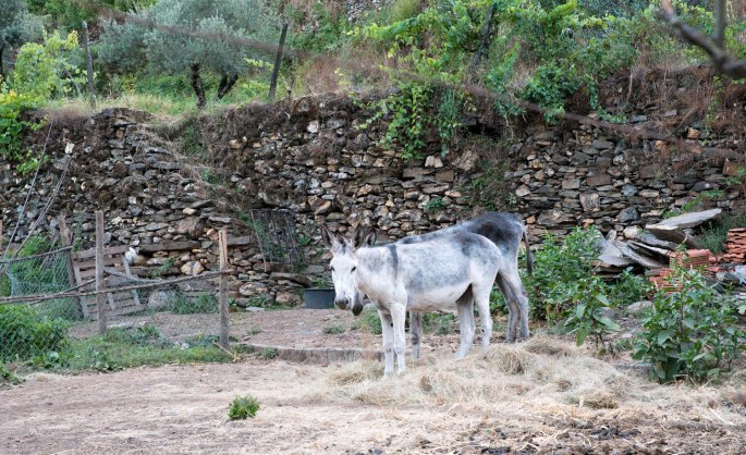 site_poco_broca_1812