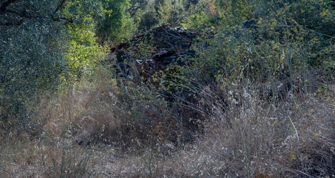 site_vale_amores_2564