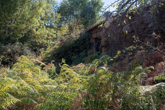 site_vale_amores_2569