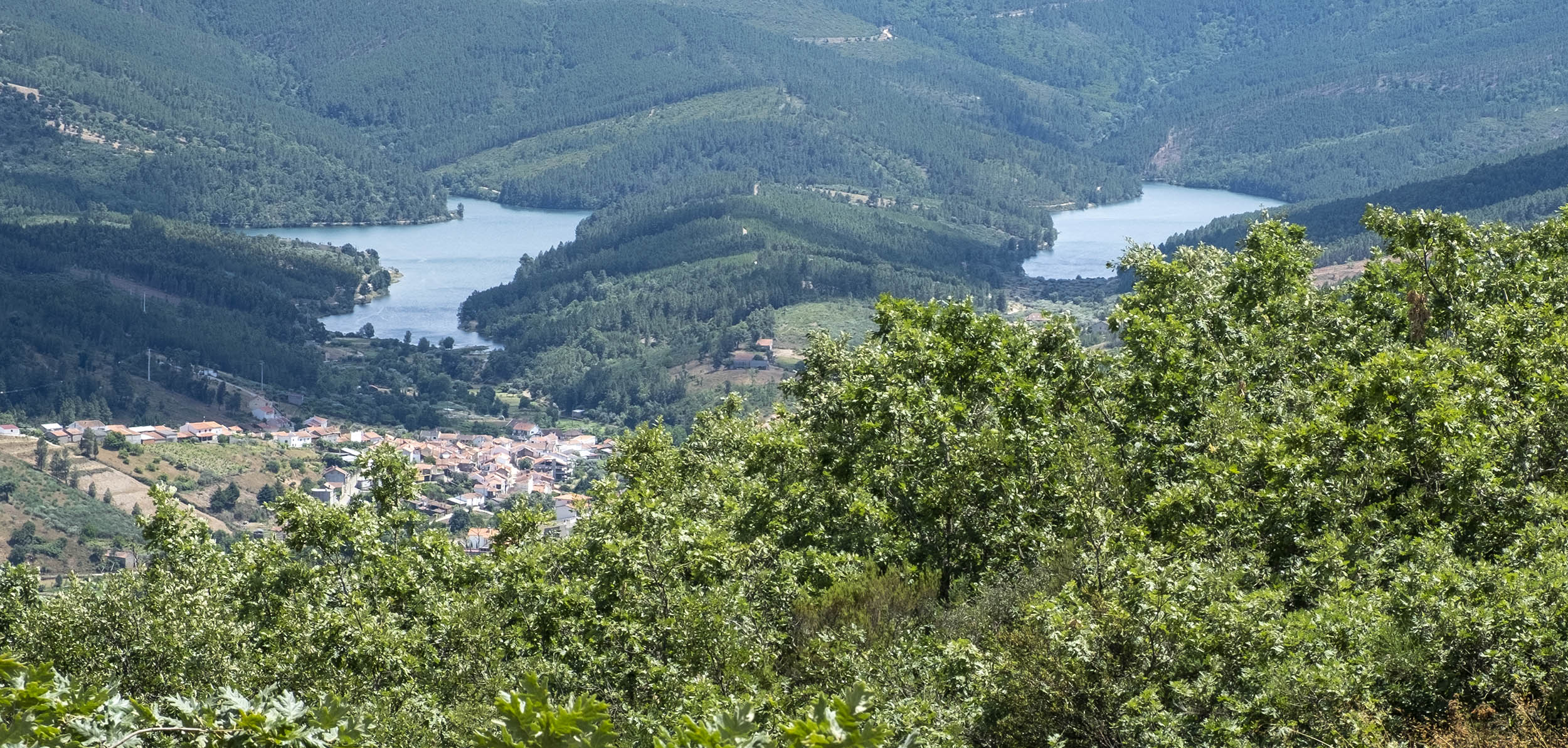 site_cabecalho_baloico_meimao_DSCF0939